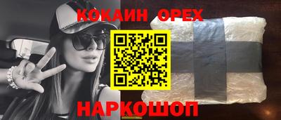 крисы Камышлов