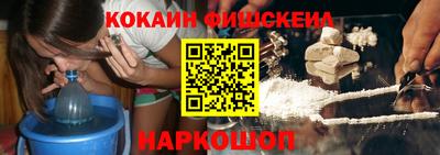 крисы Камышлов