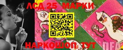 крисы Камышлов
