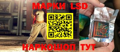 крисы Камышлов