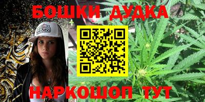 крисы Камышлов
