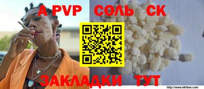 крисы Камышлов