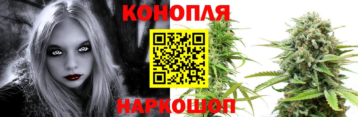 Бошки марихуана OG Kush Новочеркасск
